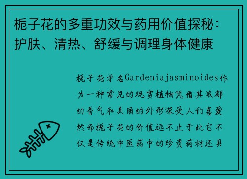栀子花的多重功效与药用价值探秘：护肤、清热、舒缓与调理身体健康
