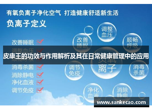 皮康王的功效与作用解析及其在日常健康管理中的应用
